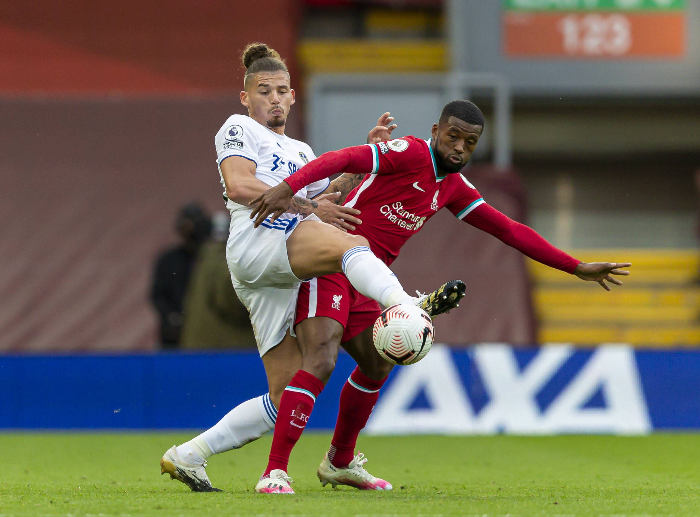 仅承载了无 仅承载了无